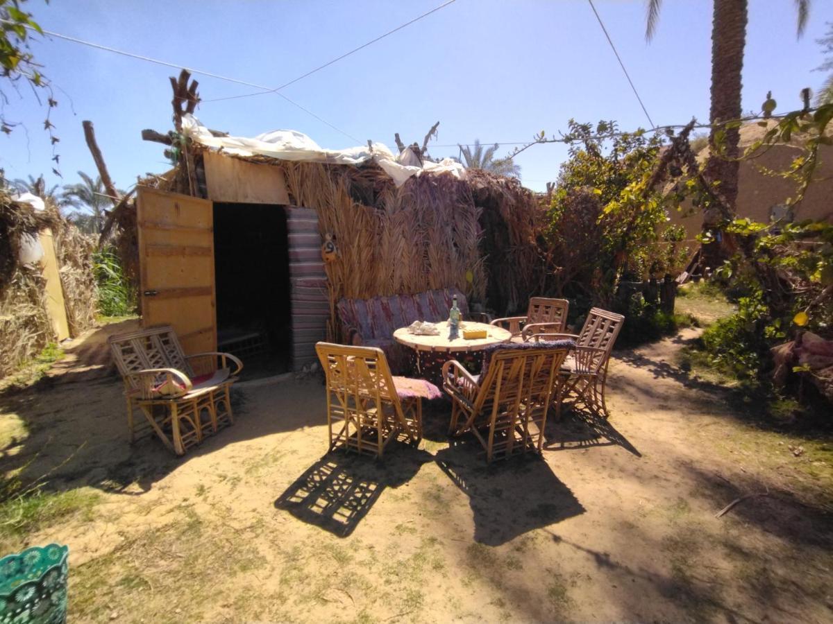 Hotel Mountain Camp Ali Khaled Siwa Oasis Exterior foto