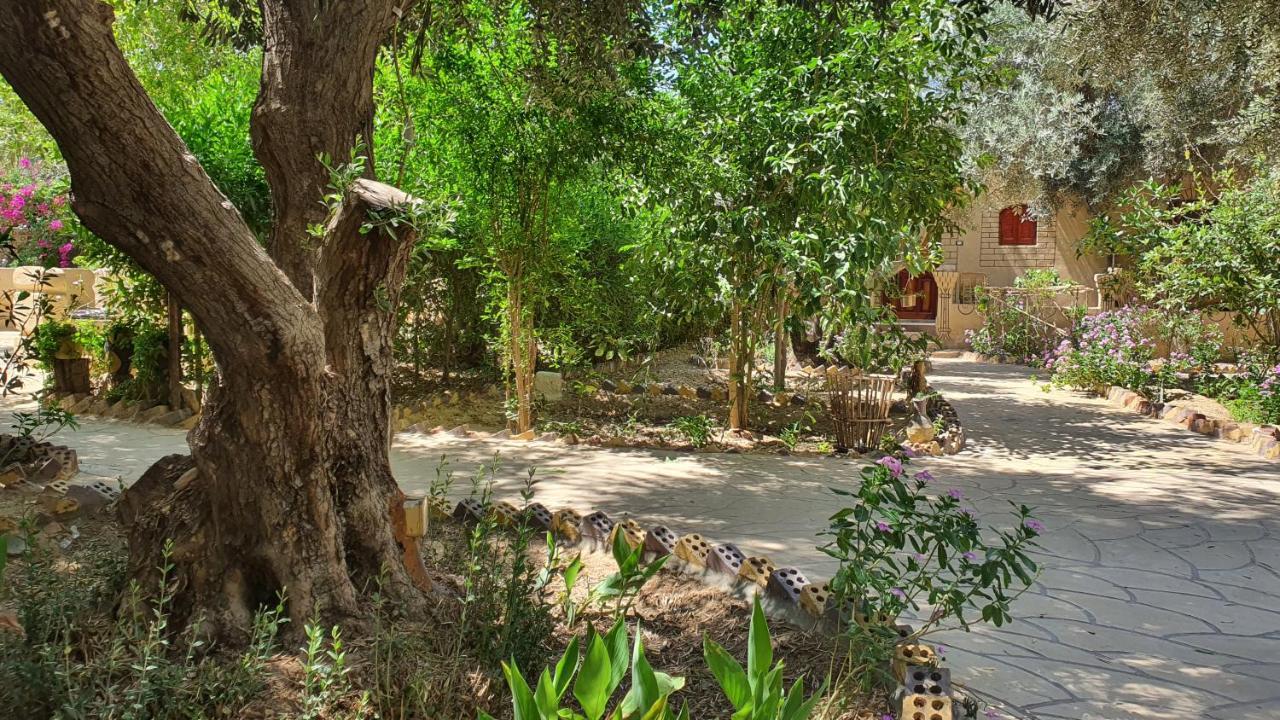 Hotel Mountain Camp Ali Khaled Siwa Oasis Exterior foto